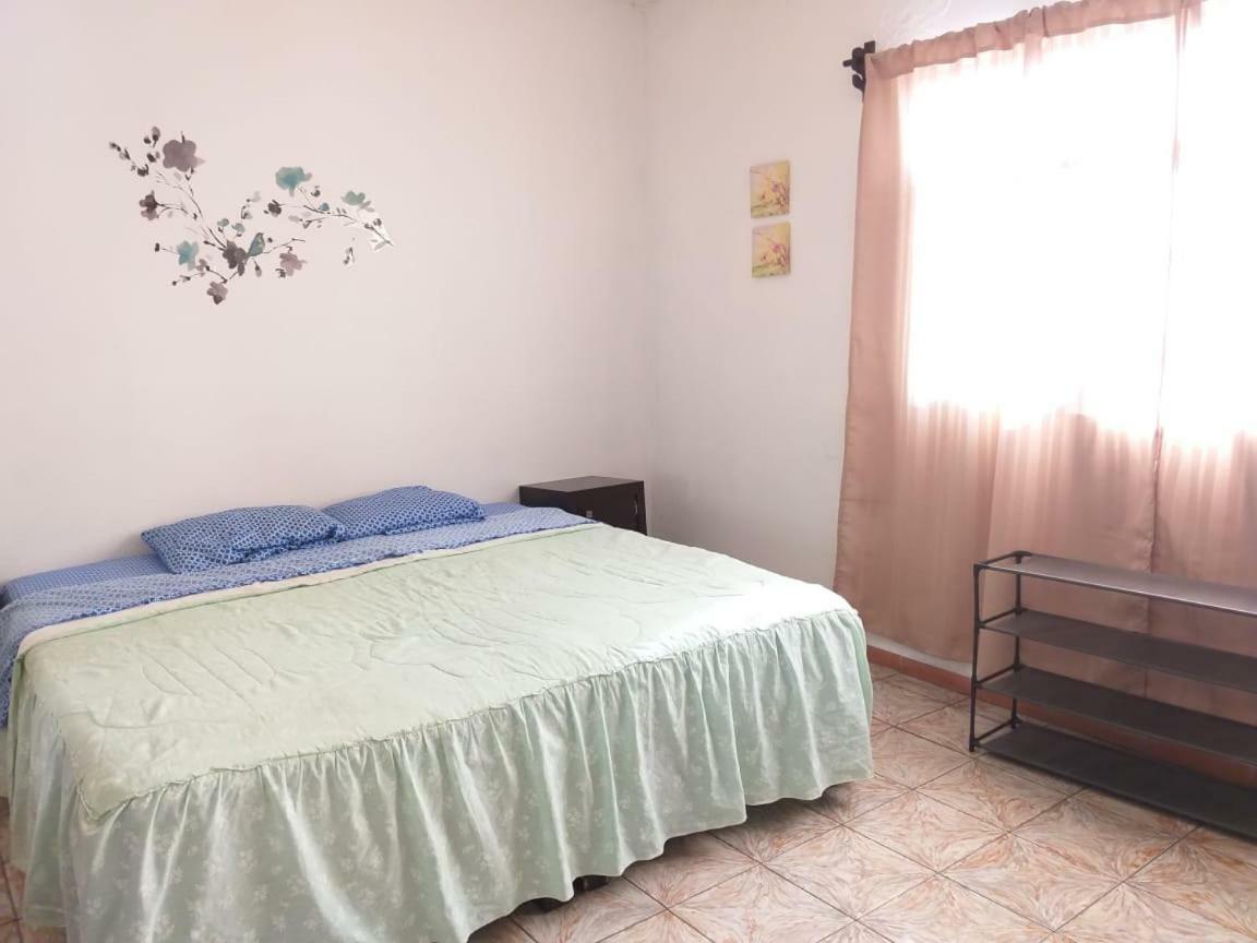 レオン Julio Houseホステル エクステリア 写真